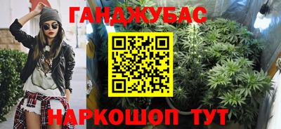 гидра Кингисепп