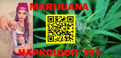 гидра Кингисепп