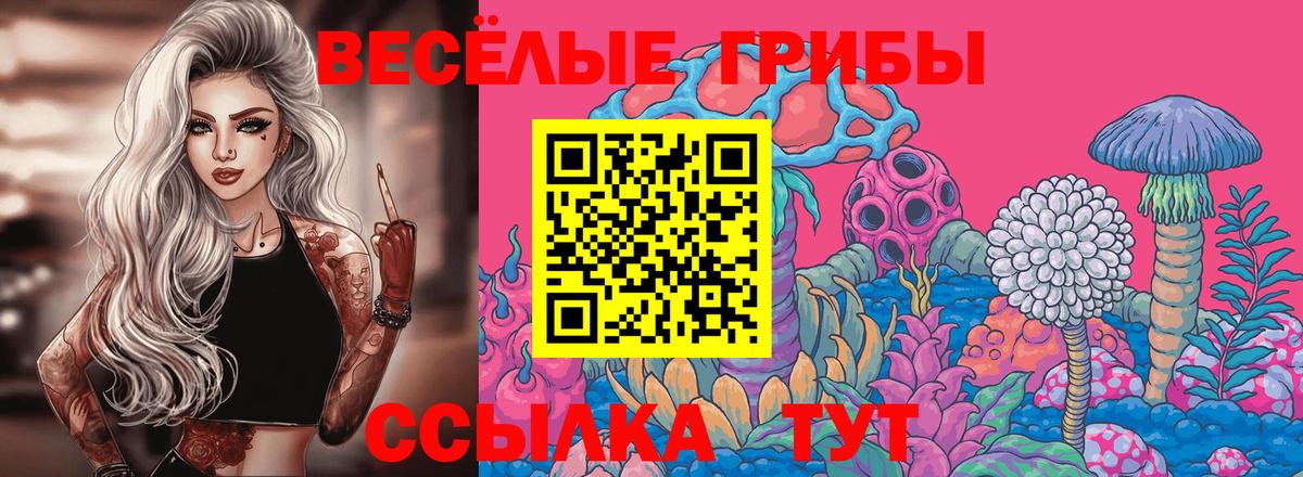 Псилоцибиновые грибы GOLDEN TEACHER  Вход с VPN  Усть-Джегута 