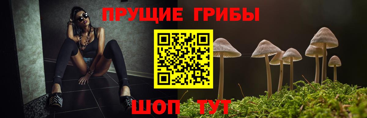 Галлюциногенные грибы Magic Shrooms Усть-Джегута
