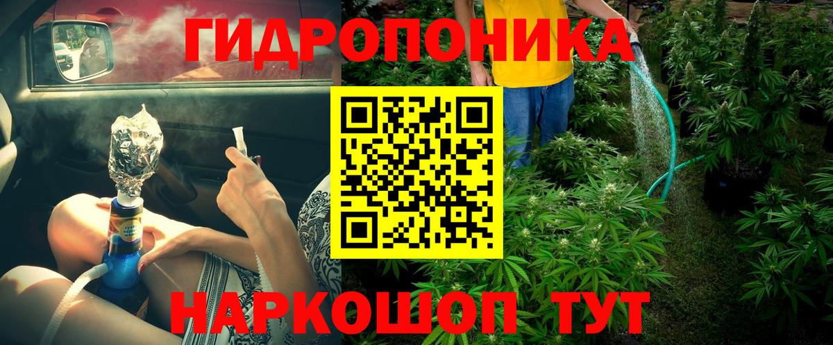 Конопля тримм  Канабис MAZAR  Вход с VPN  Усть-Джегута 